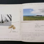 Research notebook pages about the Azores islands, carried out in the context of creating the scenography for the theatre play "Ilhas" by Teatro Meridional, Lisbon.. Set Design project by Hugo F. Matos - 12.24.2023