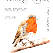 Bird Posters. Pintura em aquarela projeto de Vera Ester - 09.01.2024