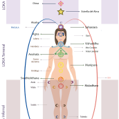 Mapa de chakras- Infografía. Education, Graphic Design, Infographics, Vector Illustration, and Poster Design project by Isabel Martín - 02.15.2024