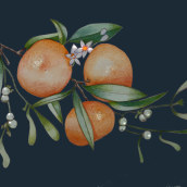 Calendario botánico 2024. Ilustração tradicional, Pintura em aquarela e Ilustração botânica projeto de Marieta Alonso-Collada - 01.01.2024