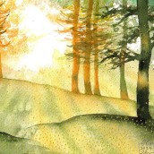 luce nel bosco. Painting, and Watercolor Painting project by Claudia Colombo - 03.24.2024