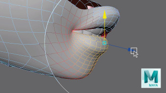 Course 4 – Correct Topology for Animation.  course by Miguel Miranda