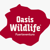 oasis wildllife fuerteventura