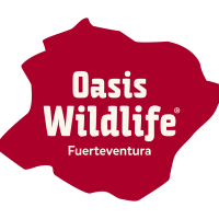 Oasis Wildlife Fuerteventura