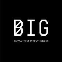BNZSA INVESTMENT GROUP