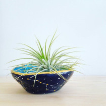 Air Plant Planters. Arts, and Crafts project by Marina - 12.21.2017