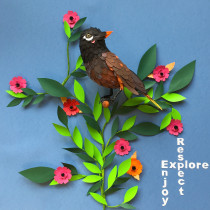 Mi Proyecto del curso: Aves en libertad. 3D projeto de Esther Martínez - 23.06.2018
