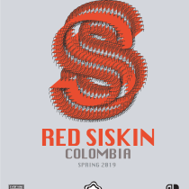 Red Siskin ::: Colombia. Graphic Design project by Diana Arciniegas Cruz - 12.31.2018
