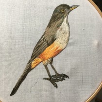 Mi Proyecto del curso: Pintar con hilo: técnicas de ilustración textil. Embroider project by Sonia Real - 02.18.2019