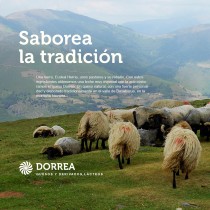 DORREA | Dirección de arte digital. Un projet de Direction artistique , et Webdesign de Barantza - 16.03.2018
