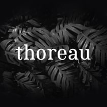 Thoreau type. Um projeto de Design, Design gráfico, Tipografia, Escrita e Caligrafia de Carlos Asencio - 26.06.2016