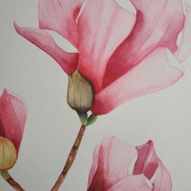 Mi Proyecto del curso: Ilustración botánica con acuarela. Watercolor Painting project by emegrafica - 10.07.2019