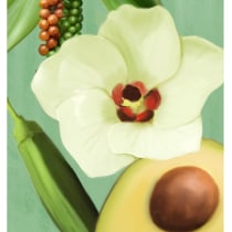 Mi Proyecto del curso: Pintura botánica con acrílico. Illustration, and Digital Illustration project by Melanie Blaser - 10.11.2019