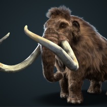 Proyecto final XGen Mammoth. 3D Character Design project by Jovany Cárdenas - 11.29.2019