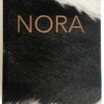 Mi Proyecto del curso: Fotolibro "NORA". Un proyecto de Fotografía, Comisariado, Bellas Artes, Concept Art, Encuadernación y Fotografía artística de Carlos Bernal Iglesias - 31.01.2020