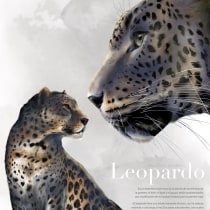 Leopardo. Digital Illustration project by Mechi Arrighi - 04.09.2020