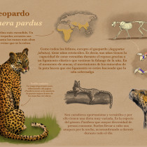 Mi Proyecto del curso: el leopardo (Panthera pardus) Ein Projekt aus dem Bereich Digitale Illustration von 3balonsoirene - 10.04.2020