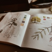 My project in Botanical Watercolor Sketchbook course. Pintura em aquarela projeto de emiliachavezz - 16.07.2020