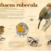 Mi Proyecto del curso: Ilustración naturalista de animales con Procreate Ein Projekt aus dem Bereich Traditionelle Illustration von Juan Reyes Ruiz - 28.07.2020