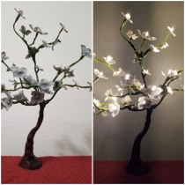 Lámparas bonsai. Un proyecto de Creatividad de Andrea Gussi - 20.08.2020