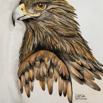 Meu projeto do curso: Ilustração naturalista de aves com aquarela. Un proyecto de Bellas Artes de Lais Porto - 29.08.2020