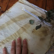 Mi Proyecto del curso: Impresión botánica en textil y papel. Fashion Design project by mariaignacia.duartemorales - 10.07.2020