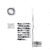 Mi Proyecto del curso: Las leyes de la percepción visual: unidad, peso, equilibrio y movimiento. Un proyecto de Diseño, Ilustración tradicional, Caligrafía y Dibujo de Absurdismus - 10.11.2020