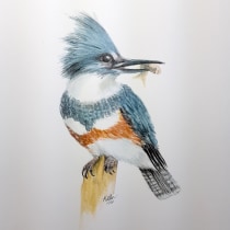 My project in Naturalist Bird Illustration with Watercolors course. Un proyecto de Pintura a la acuarela de Marilyn Allen - 04.12.2020