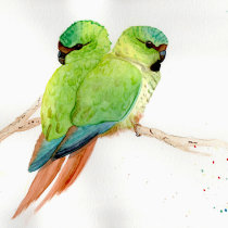 Mi Proyecto del curso: Acuarela artística para ilustración de aves. Projekt z dziedziny Trad, c i jna ilustracja użytkownika Jennifer Lumovich - 06.12.2020