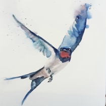My project in Artistic Watercolor Techniques for Illustrating Birds course. Pintura em aquarela projeto de Tina Ritter - 31.12.2020