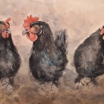My project in Artistic Watercolor Techniques for Illustrating Birds course. Un proyecto de Pintura a la acuarela de Marilyn Allen - 06.01.2021