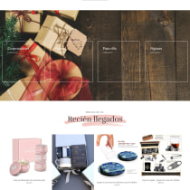 Mi Proyecto del curso: Creación de una tienda online con Shopify. Web Design projeto de Frank Dietze - 12.01.2021