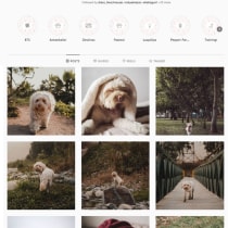 Mi proyecto de fotografía: Luca. Un proyecto de Fotografía, Fotografía en exteriores y Fotografía para Instagram de Odile Pallette - 18.01.2021