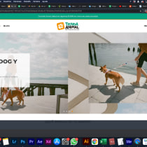 Mi Proyecto del curso: Creación de una tienda online con Shopify. Web Design projeto de diegocontreras - 28.01.2021