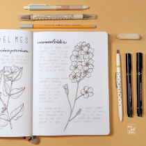 Bullet Journal personal | Introducción al bullet journal ilustrado. Un projet de Calligraphie, Calligraphie avec brushpen et Illustration d'encre de Niabellum - 15.02.2021