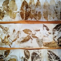 Mi Proyecto del curso: Impresión botánica en textil y papel. Un proyecto de DIY de Nuria Pozas - 08.03.2021