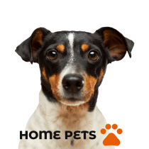 Veterinaria Home Pets :Diseño de interfaces para sitios web y aplicaciones. Un progetto di UX / UI e Pattern design di Diego Félix - 17.03.2021