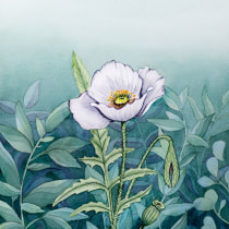 My project in Negative Watercolor Painting for Botanical Illustration course. Un proyecto de Pintura a la acuarela de ellestaples - 19.03.2021