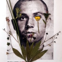 Te callaron la voz, pero las flores ya habían salido.. Collage project by Celia Vidaurre Heras - 04.05.2021