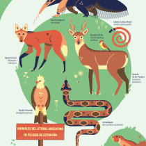 Animales en peligro de extinción. Un projet de Illustration numérique de Manuel Siri - 09.04.2021
