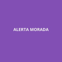 Alerta Morada. UX / UI projeto de creative - 12.04.2021
