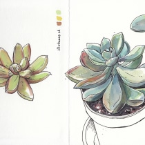 My project in Botanical Sketchbooking: A Meditative Approach course. Un progetto di Disegno artistico di illuhouse - 12.04.2021