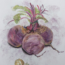 Beetroot and snail: the final meeting. Watercolor Painting project by Katharine Lay - 04.20.2021