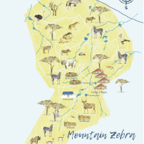Mountain Zebra National Park creative map Ein Projekt aus dem Bereich Illustration von Jennie Harborth - 18.04.2021