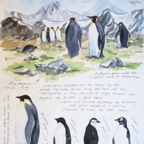 Virtual Trip in Antarctica. Ilustração, Pintura em aquarela, e Sketchbook projeto de R R - 01.06.2021
