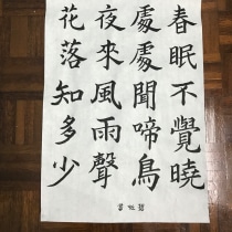 My project in Introduction to Chinese Calligraphy course. Un proyecto de Caligrafía, Brush Painting y Caligrafía con brush pen de cpeakhung - 10.06.2021