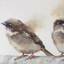 My project in Artistic Watercolor Techniques for Illustrating Birds course. Um projeto de Pintura em aquarela de linzi18 - 15.06.2021