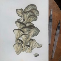 My project in Botanical Sketchbooking: A Meditative Approach course. Traditional illustration, Sketching, Drawing, Watercolor Painting, Botanical Illustration, and Sketchbook project by Sab Kay - 06.10.2021