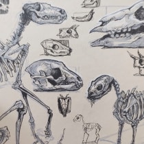 Bone Studies. Projekt z dziedziny Trad, c, jna ilustracja, Sketching, Kreat, wność,  R, sunek i Sketchbook użytkownika Andrada Aurora Hansen - 20.07.2021