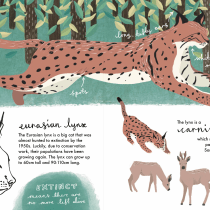 My project in Wildlife Illustration for Children's Books course. Vector Illustration, Digital Illustration, and Children's Illustration project by Nicola Hawley - 08.10.2021